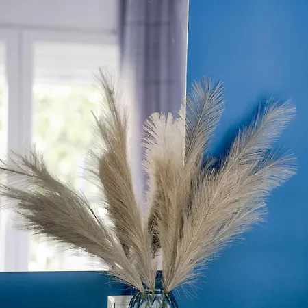 Appartement Coloris Caeruleus *