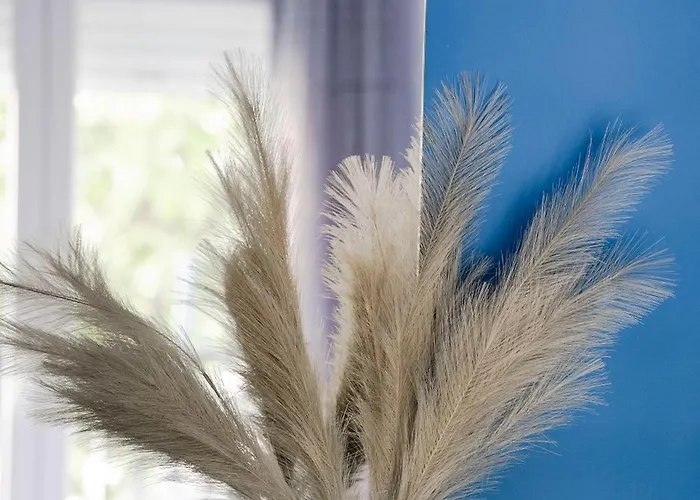 Apartment Coloris Caeruleus *